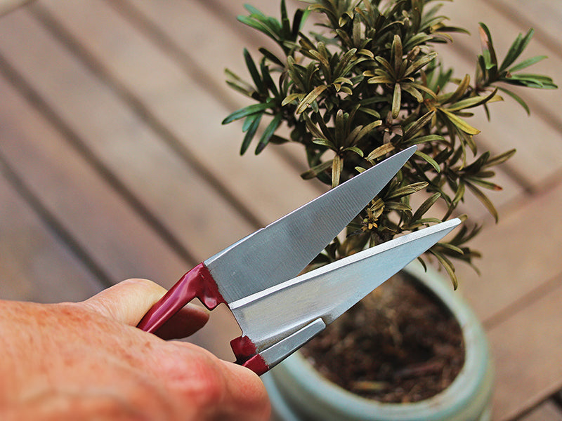 Kent & Stowe Mini Snips K/S70100498