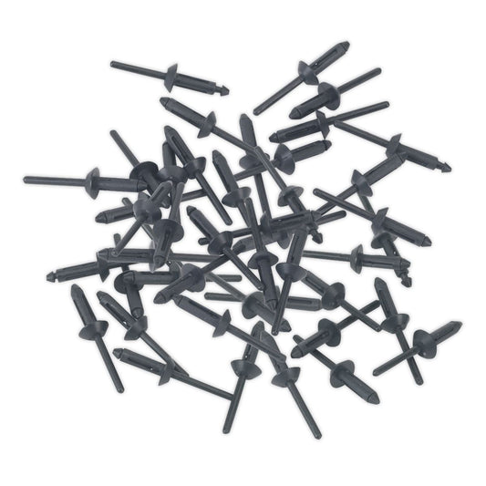 Sealey Plastic Rivet �5 x 15.8mm Pack of 50 PR003