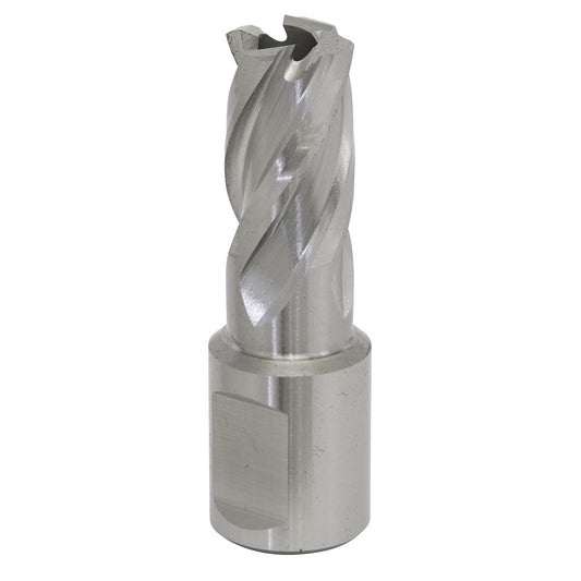 Sealey Rotabor Cutter HSS �15mm - Cut Depth 25mm RBHSS15S