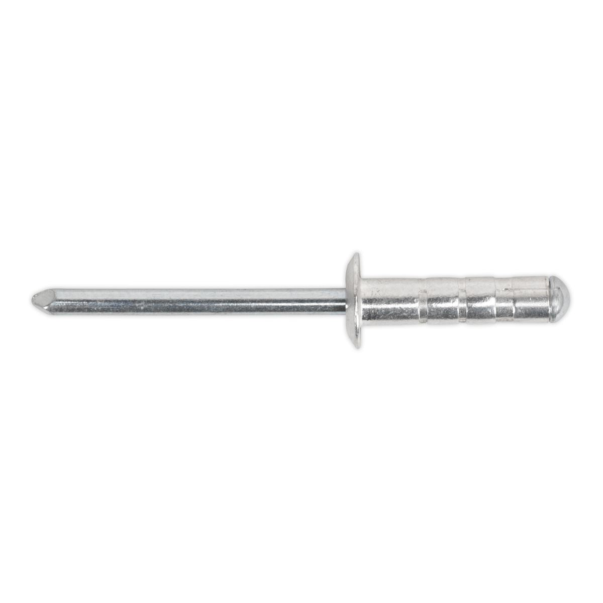 Sealey Aluminium Multi-Grip Rivet Standard Flange �4.8 x 19mm Pack of 200 RM4819S