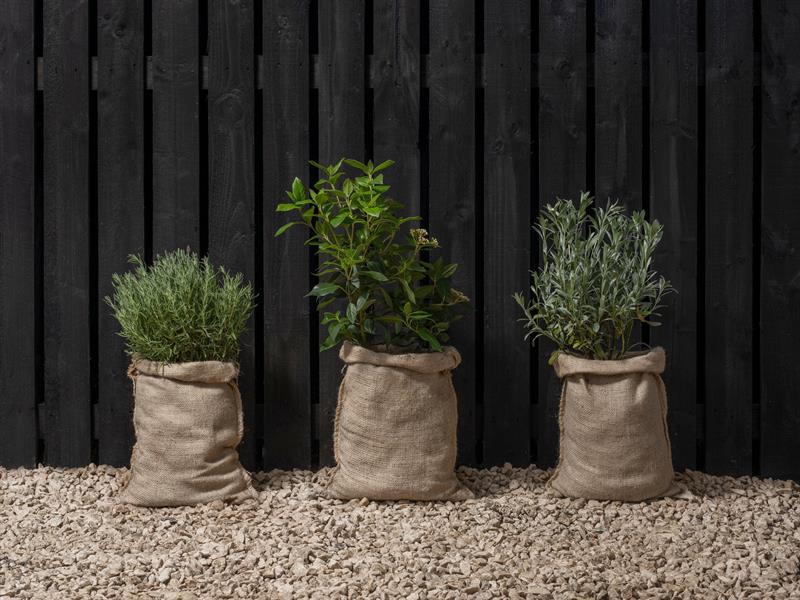 Ronseal Fence Life Plus+ Tudor Black Oak 5 litre RSLFLPPCTBO5