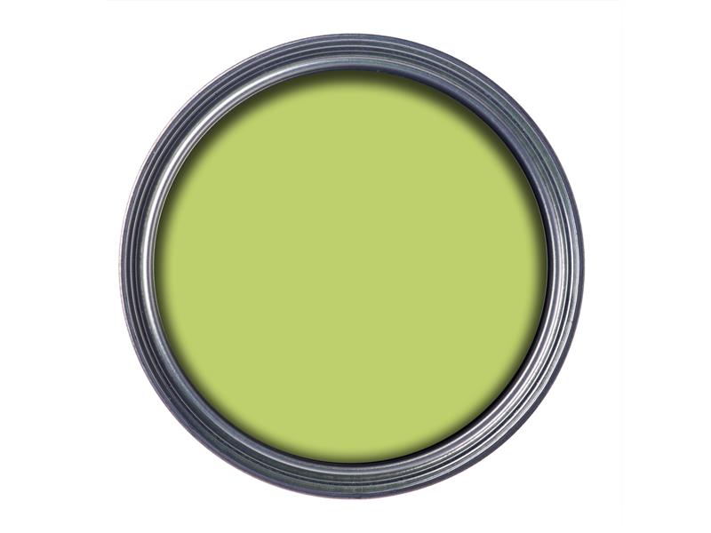 Ronseal Garden Paint Lime Zest 750ml RSLGPLZ750