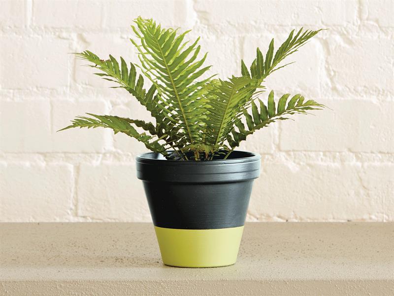 Ronseal Garden Paint Lime Zest 750ml RSLGPLZ750