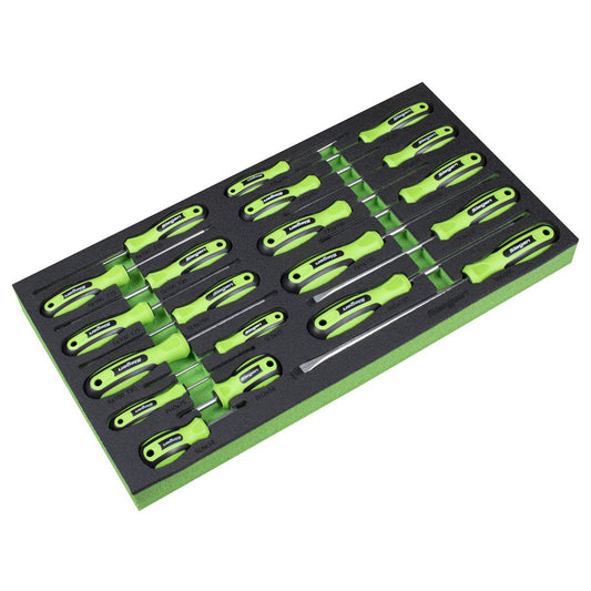 Sealey Tool Tray with Screwdriver Set 20pc Phillips Torx Slotted Pozi S01276