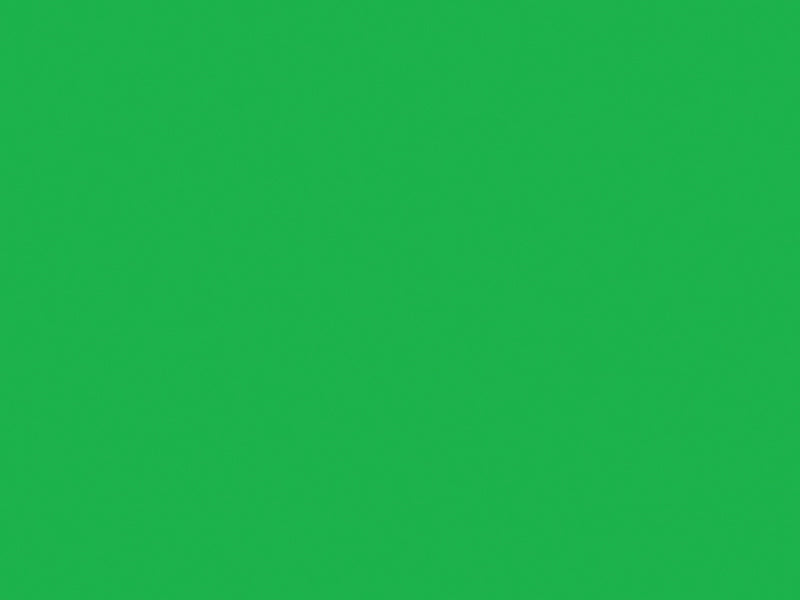 Shurtape Duck Tape® 48mm x 13.7m Neon Green SHU1265018