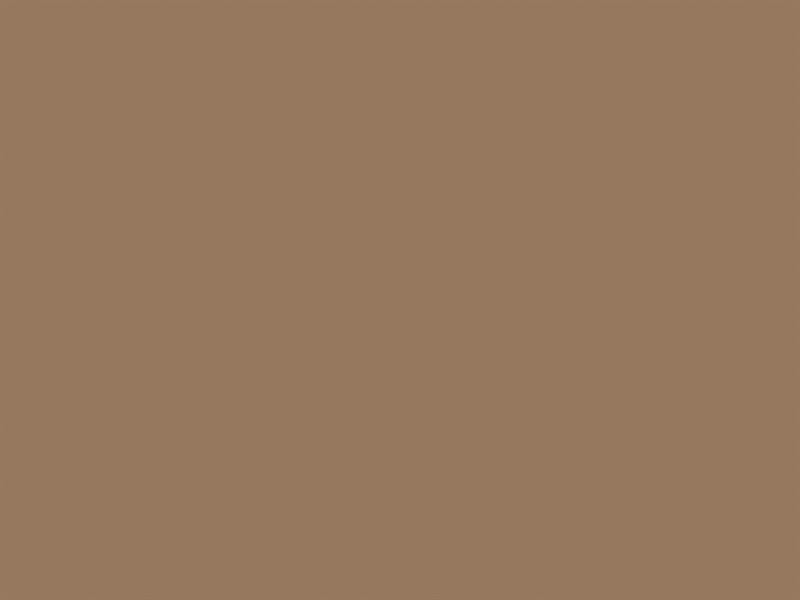 Shurtape Duck Tape® Packaging Tape 50mm x 25m Brown SHU223554
