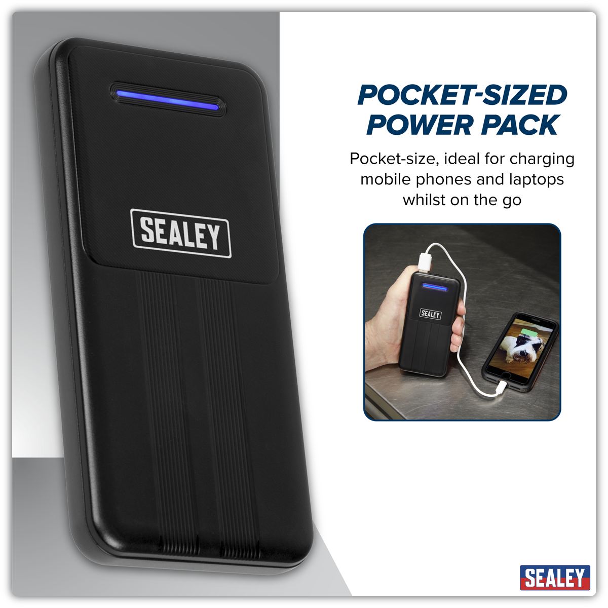 Sealey Portable Power Bank 10W 10000mAh Micro USB Type-C SPB101
