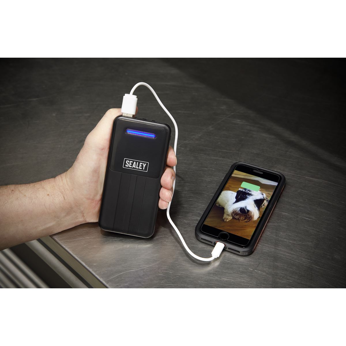 Sealey Portable Power Bank 10W 10000mAh Micro USB Type-C SPB101