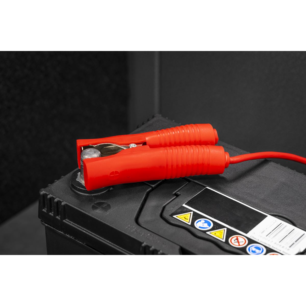 Sealey Battery Support Unit Charger & Maintainer 40A SPBC40