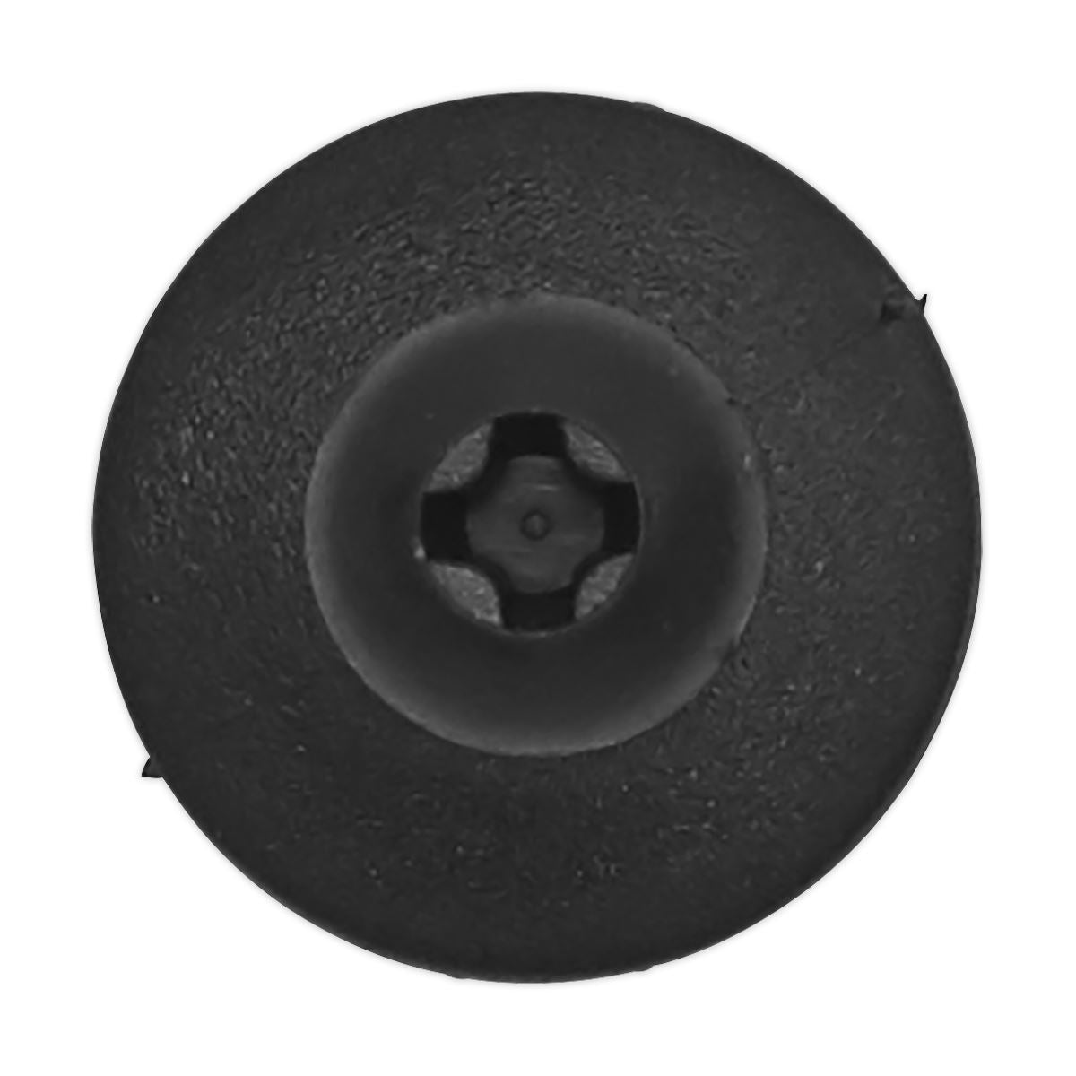 Sealey Screw Rivet, �17mm x 28mm, Universal - Pack of 20 TCSR1712U
