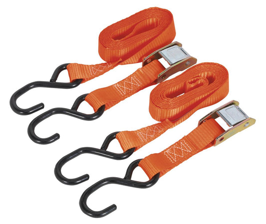 Sealey Cam Buckle Strap 25mm x 2.5m Polyester Webbing with S-Hooks 500kg Breaking Strength TD05025CS