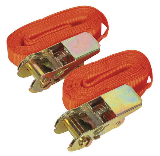 Sealey Self-Securing Ratchet Straps 25mm x 4.5m 500kg Breaking Strength - Pair TD05045E