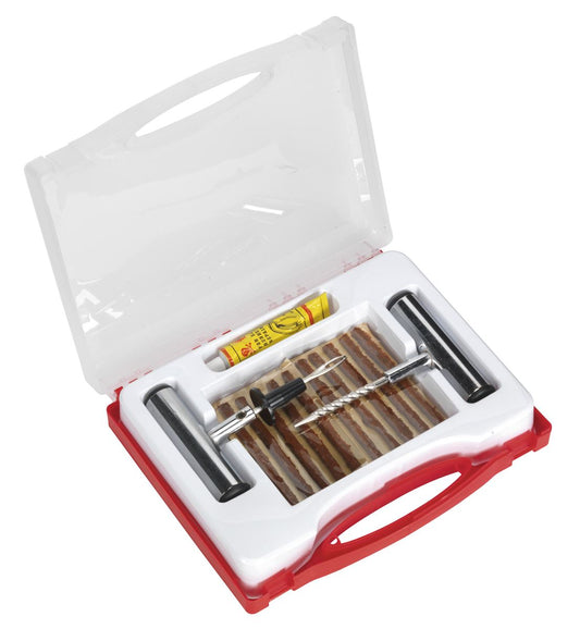 Sealey Temporary Puncture Repair Kit TST10