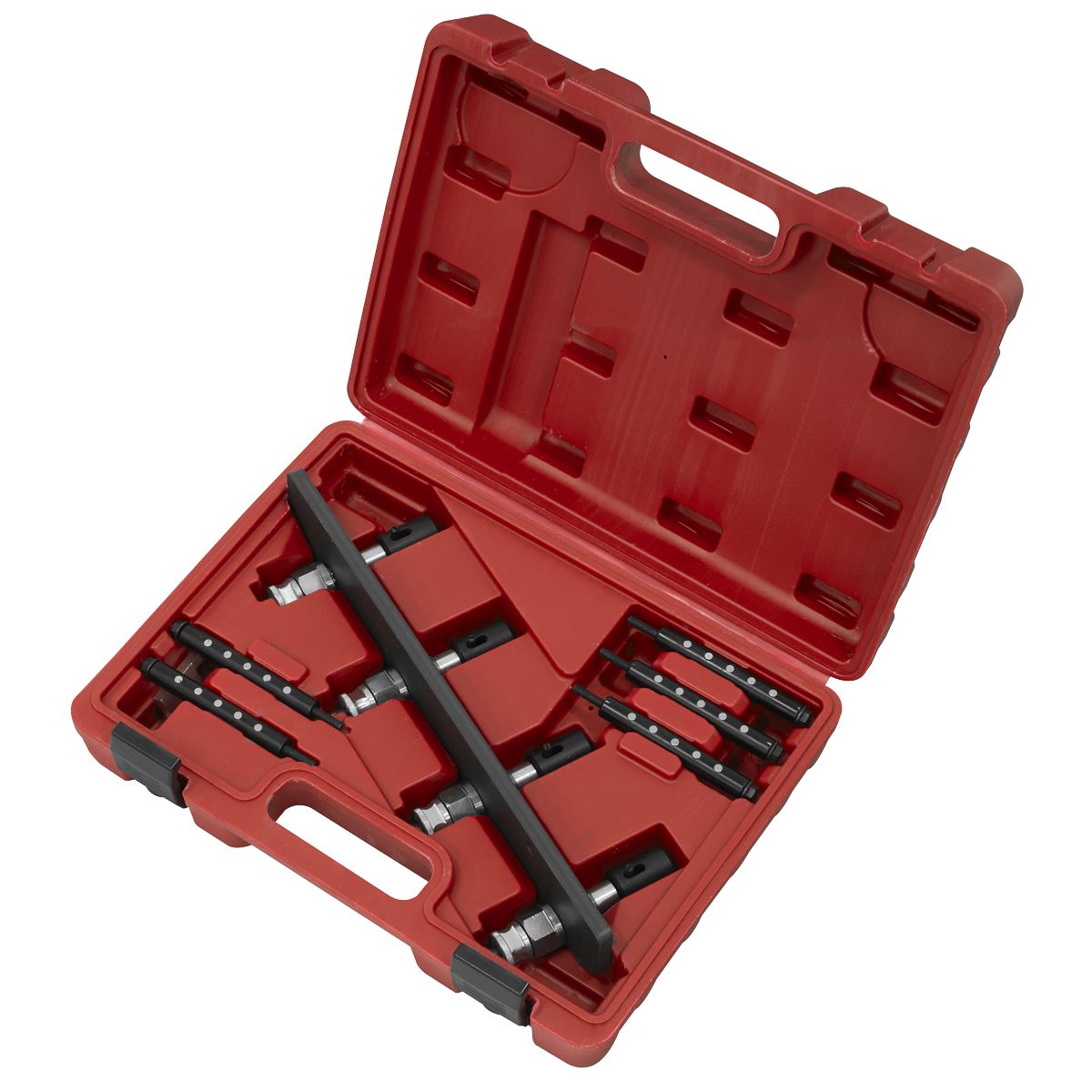 Sealey BMW & Mini Petrol Engine Fuel Injection Removal Installation Kit VS2081