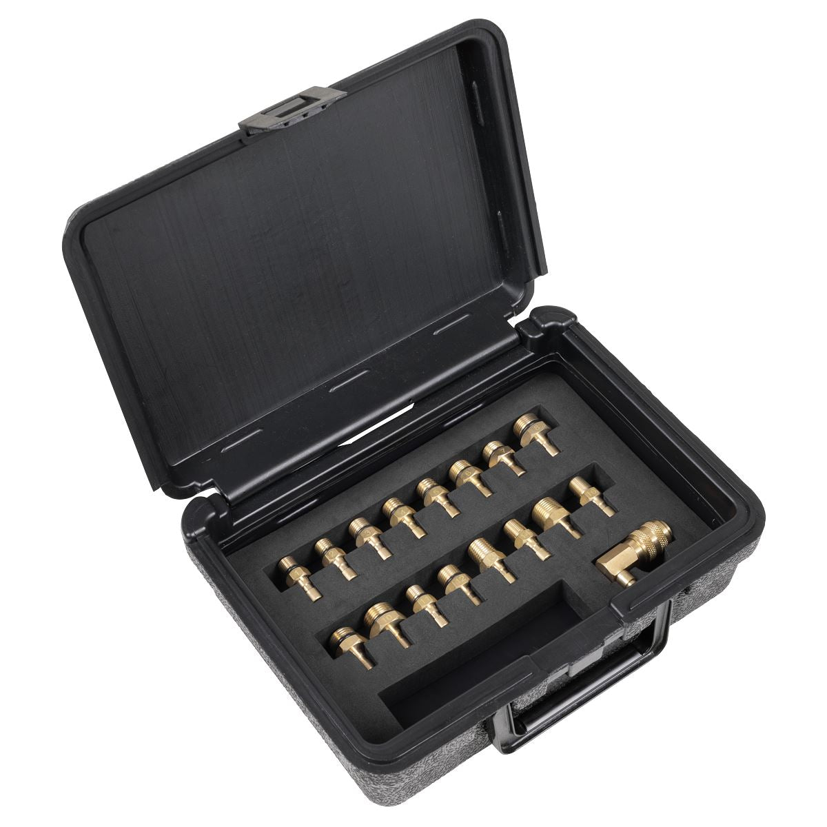 Sealey Digital Oil Pressure Test Kit 18pc 0-435psi 0-30 bar PSI kg/cm² VS217