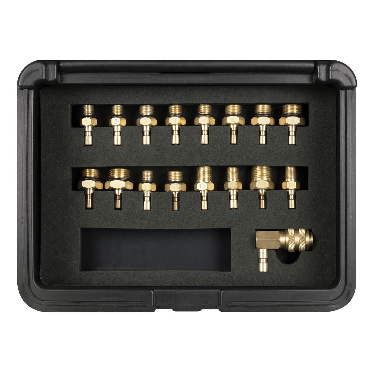 Sealey Digital Oil Pressure Test Kit 18pc 0-435psi 0-30 bar PSI kg/cm² VS217