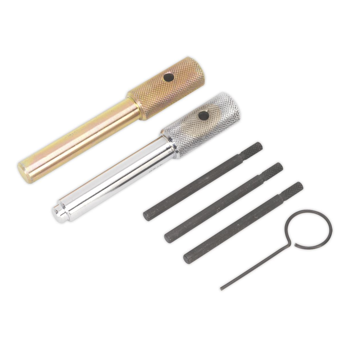 Sealey Diesel Engine Timing Tool Kit - for Ford, Fiat, JLR, LDV, PSA 2.0D/2.2D/2.4D/3.2D - Chain Drive VSE5842