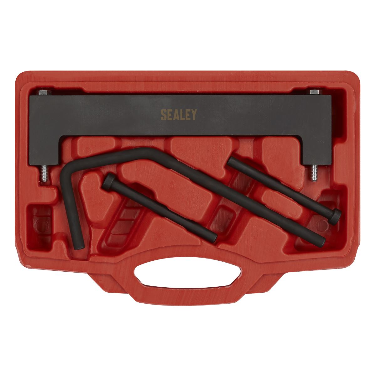 Sealey MG 1.5 Timing Tool Kit Chain Drive TEN00002 TEN00004 VSE7980