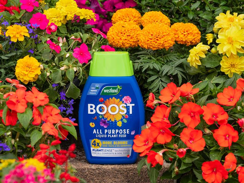 Westland Boost All Purpose Liquid Plant Feed 1 litre WLD20100468