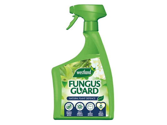 Westland Fungus Guard 800ml To Control Powdery Mildew WLD20300660