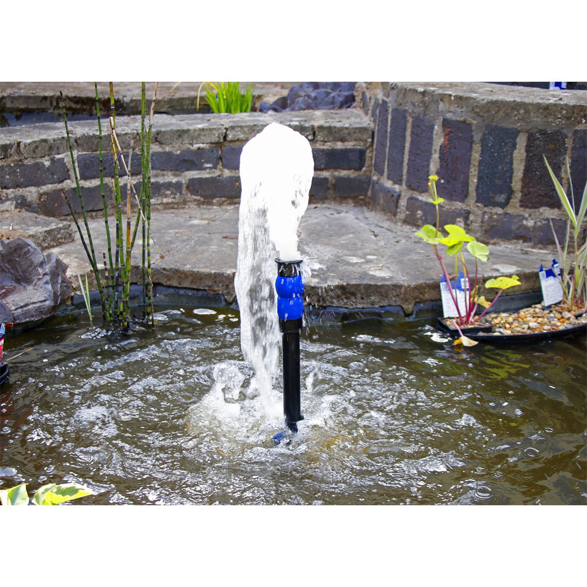 Sealey Submersible Pond Pump Stainless Steel 3600L/hr 230V WPP3600S