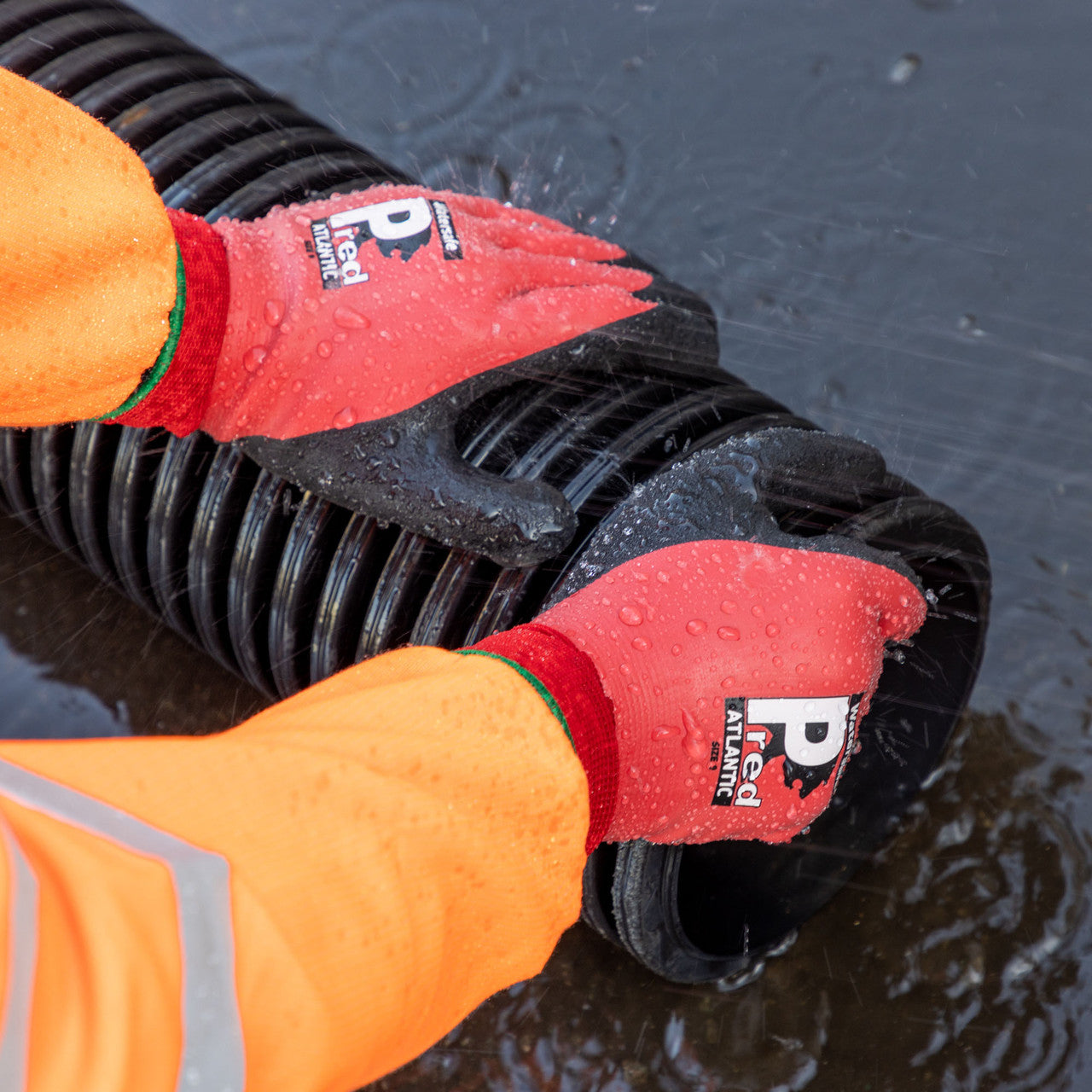 Predator Watersafe Atlantic Gloves XL Pack of 10 Latex Coating JOS-WS1-10