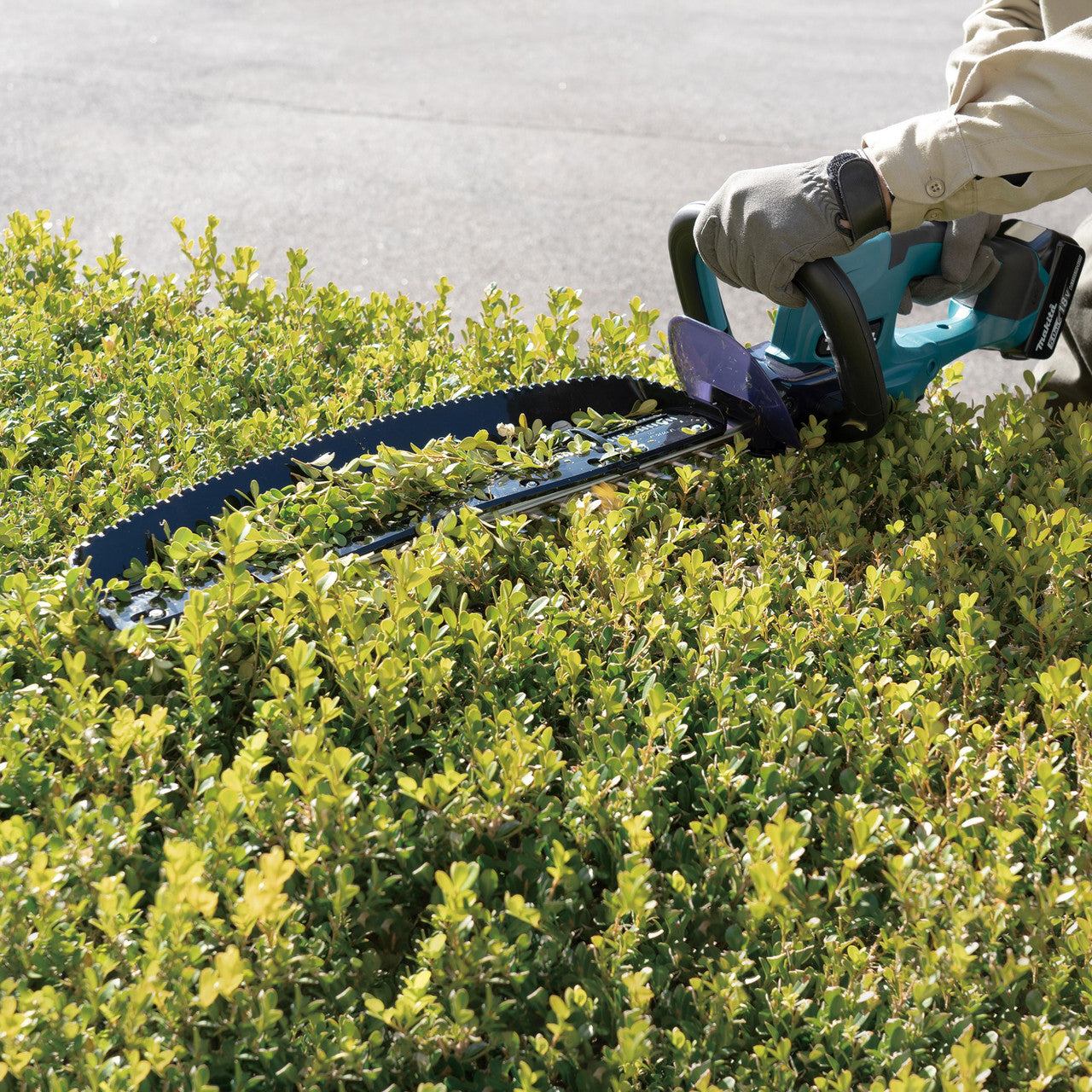 Makita DUH507 LXT 18V Hedge Trimmer 500mm (1 x 3.0Ah Battery)
