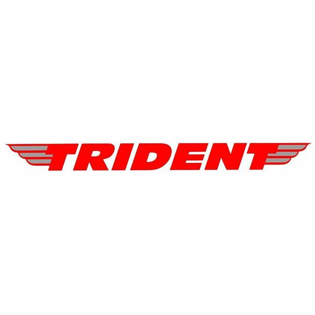 Trident Wire Brush Cleaning Set 20pc in Canvas Storage Case T677301